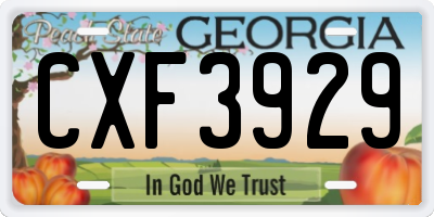 GA license plate CXF3929