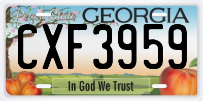 GA license plate CXF3959