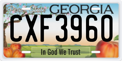 GA license plate CXF3960