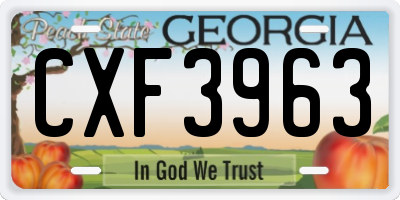 GA license plate CXF3963