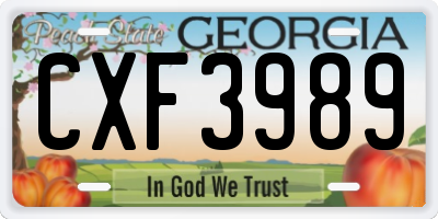 GA license plate CXF3989