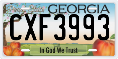 GA license plate CXF3993