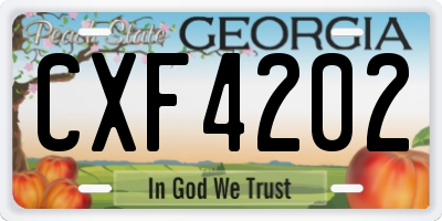 GA license plate CXF4202