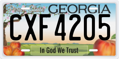 GA license plate CXF4205