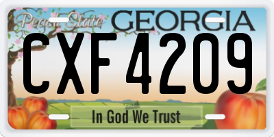 GA license plate CXF4209