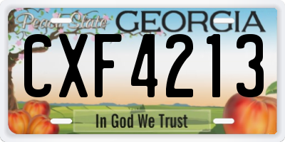 GA license plate CXF4213