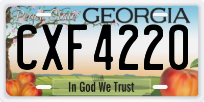 GA license plate CXF4220
