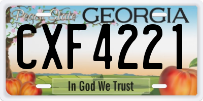 GA license plate CXF4221