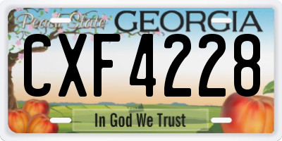 GA license plate CXF4228