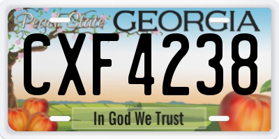 GA license plate CXF4238