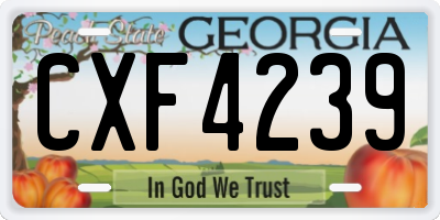 GA license plate CXF4239