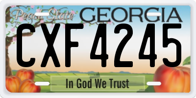 GA license plate CXF4245