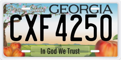 GA license plate CXF4250