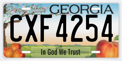 GA license plate CXF4254