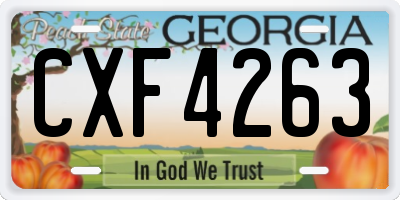 GA license plate CXF4263