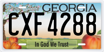 GA license plate CXF4288