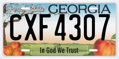 GA license plate CXF4307