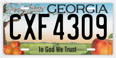 GA license plate CXF4309
