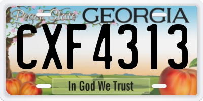 GA license plate CXF4313