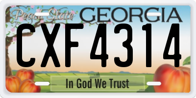 GA license plate CXF4314