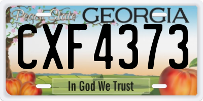 GA license plate CXF4373