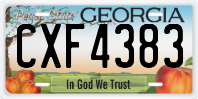 GA license plate CXF4383