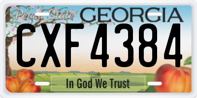 GA license plate CXF4384