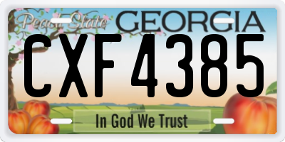 GA license plate CXF4385