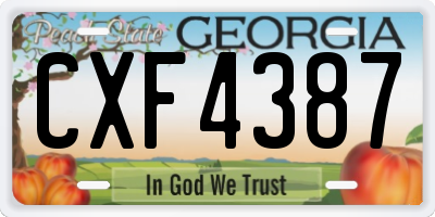 GA license plate CXF4387