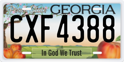 GA license plate CXF4388