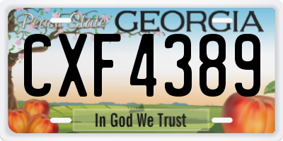 GA license plate CXF4389