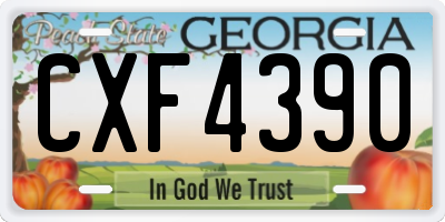 GA license plate CXF4390
