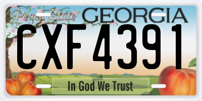 GA license plate CXF4391