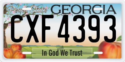 GA license plate CXF4393