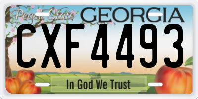 GA license plate CXF4493