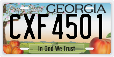 GA license plate CXF4501