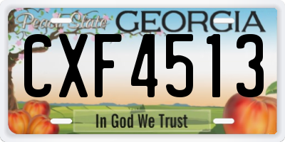GA license plate CXF4513