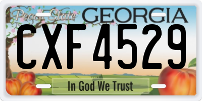 GA license plate CXF4529