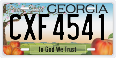 GA license plate CXF4541