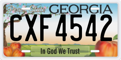 GA license plate CXF4542