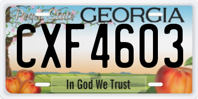 GA license plate CXF4603