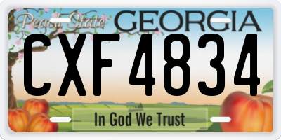 GA license plate CXF4834