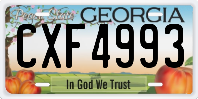 GA license plate CXF4993