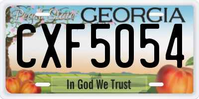 GA license plate CXF5054