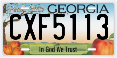 GA license plate CXF5113