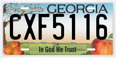 GA license plate CXF5116