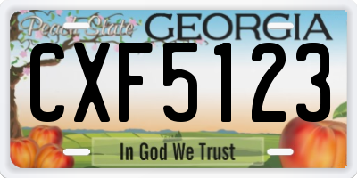 GA license plate CXF5123