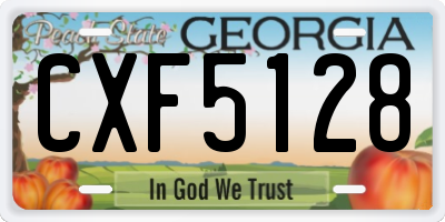 GA license plate CXF5128
