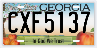 GA license plate CXF5137