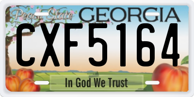 GA license plate CXF5164